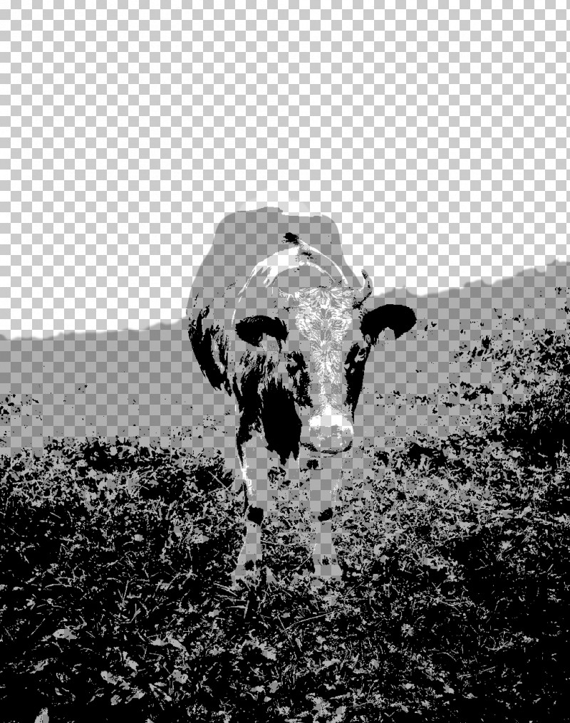 Bovine Black-and-white Dairy Cow Snout Horn PNG, Clipart, Blackandwhite, Bovine, Dairy Cow, Horn, Livestock Free PNG Download