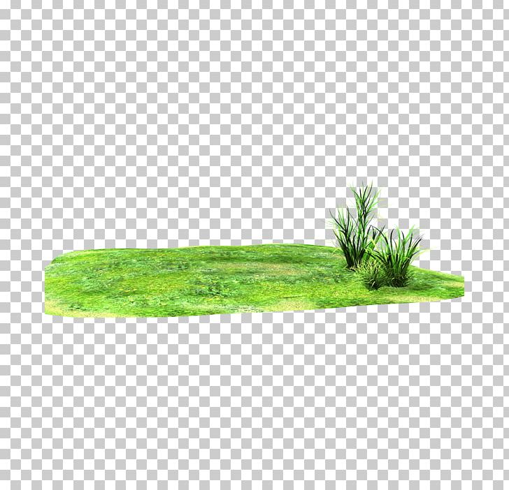 Grassland PNG, Clipart, 3d Rendering, Computer Icons, Download, Grass, Grass Family Free PNG Download