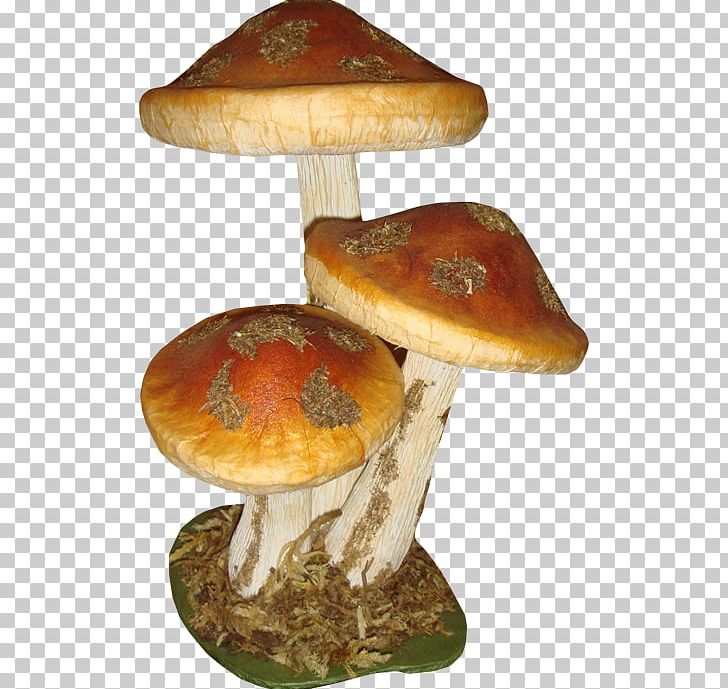 Mushroom Fungus PNG, Clipart, Amanita, Creative Background, Creative Logo Design, Food, Free Logo Design Template Free PNG Download