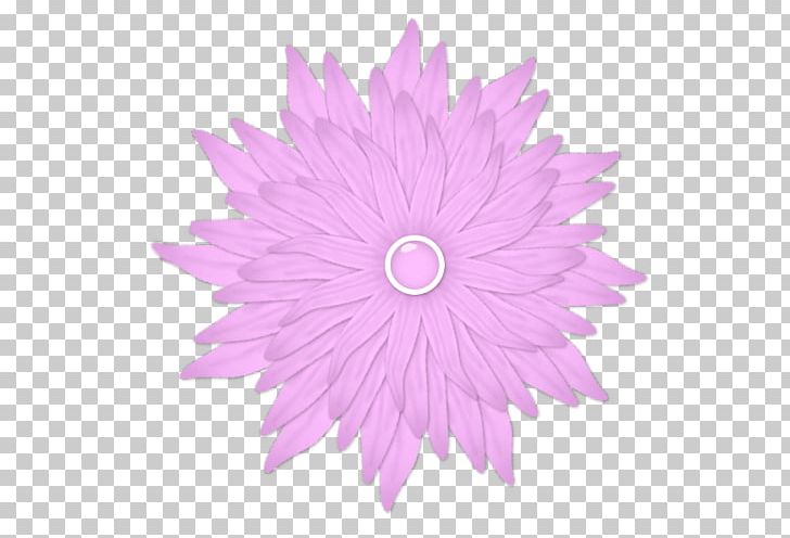 Stock Photography PNG, Clipart, Bala, Cartoon, Chrysanthemum, Chrysanths, Daisy Family Free PNG Download