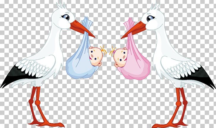 White Stork Infant PNG, Clipart, Animals, Artwork, Baby Shower, Beak, Bird Free PNG Download