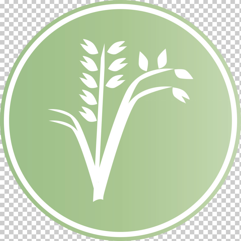 Oats Wheat Oats Logo PNG, Clipart, Biology, Green, Leaf, Logo, M Free PNG Download