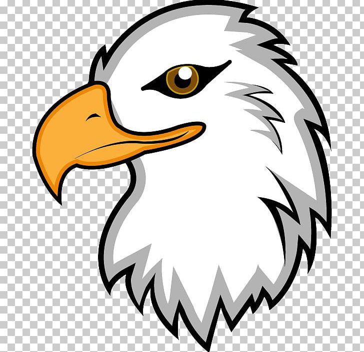 Bald Eagle Drawing PNG, Clipart, Accipitridae, Animals, Artwork, Bald, Bald Eagle Free PNG Download