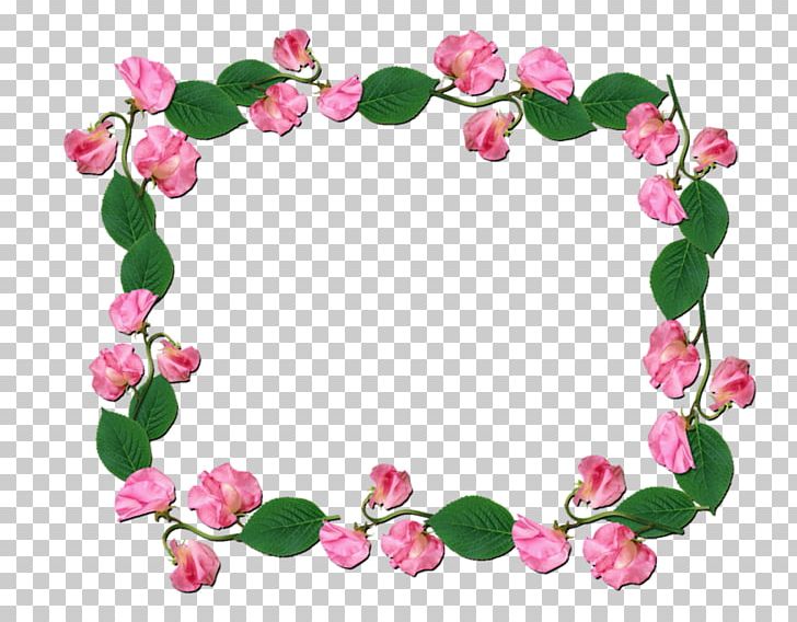 Flower Floral Design Sweet Pea Petal Rose Family PNG, Clipart, Blossom, Body Jewellery, Body Jewelry, Cerceve, Cerceveler Free PNG Download