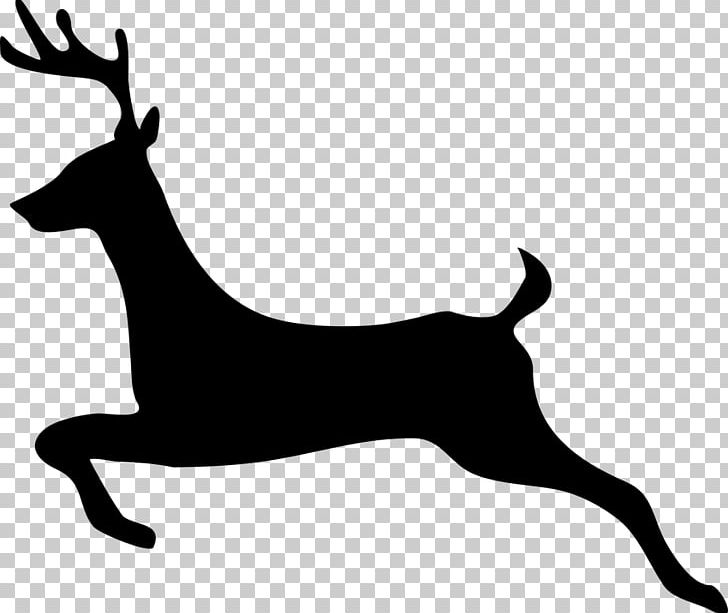 White-tailed Deer Reindeer PNG, Clipart, Animals, Black, Black And White, Deer, Dog Breed Free PNG Download