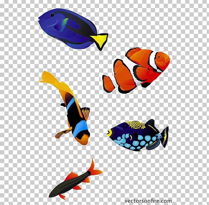 Koi Saltwater Fish PNG, Clipart, Animals, Aquarium, Clip Art, Coral Reef Fish, Download Free PNG Download