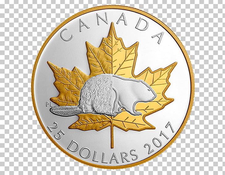Silver Coin Gold Plating PNG, Clipart, Christmas Ornament, Coin, Coin Collecting, Coin Set, Commemorative Coin Free PNG Download