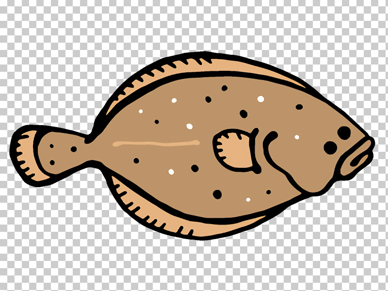 Fish Flatfish Line Science Biology PNG, Clipart, Biology, Fish, Flatfish, Line, Science Free PNG Download