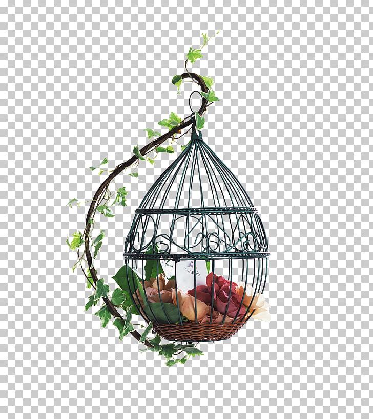 Parrot Birdcage Cockatiel Budgerigar PNG, Clipart, Android, Bird, Branch, Cage, Color Free PNG Download