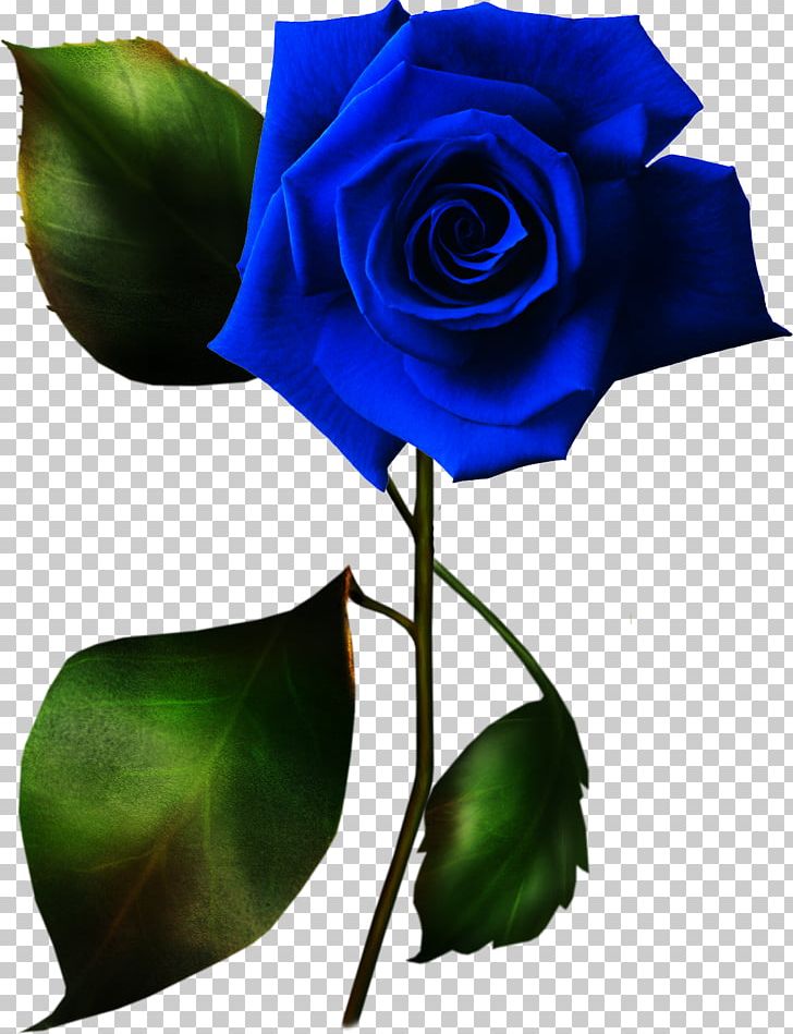 Rose PNG, Clipart, Art, Blue, Blue Rose, Bud, Cut Flowers Free PNG Download