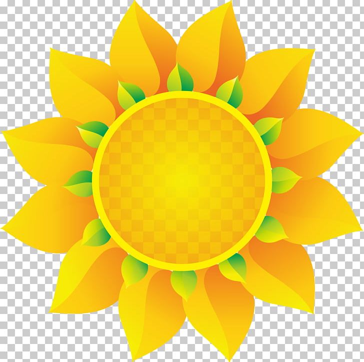 Euclidean PNG, Clipart, Daisy Family, Encapsulated Postscript, Flower, Flowers, Sunflower Free PNG Download
