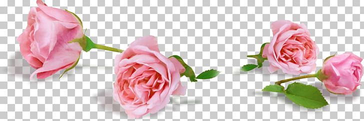 Flower Rose PNG, Clipart, Artificial Flower, Bud, Cut Flowers, Floral Design, Floristry Free PNG Download