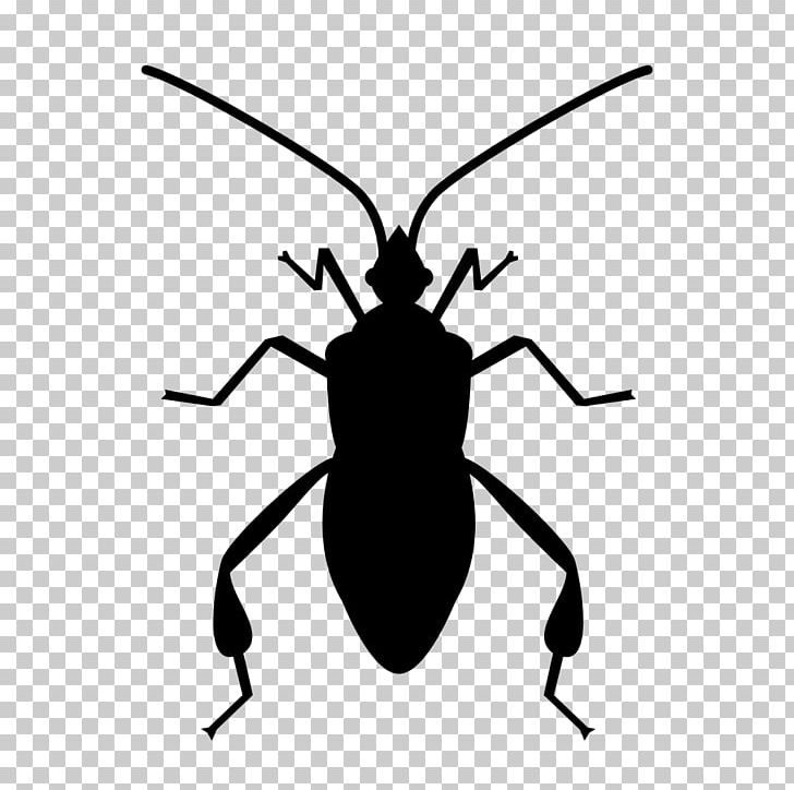 Software Bug Insect Computer Icons PNG, Clipart, Animals, Arthropod, Beetle, Black And White, Bug Free PNG Download