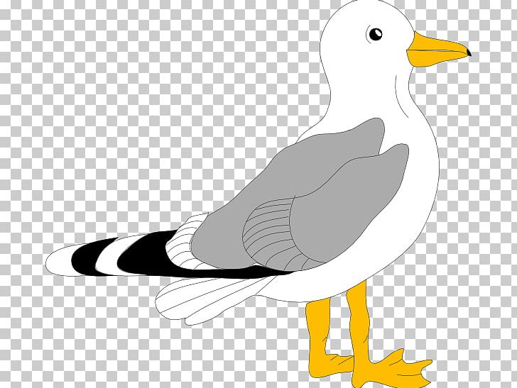 Gulls Free Content PNG, Clipart, Art, Beak, Bird, Black And White, Blog Free PNG Download
