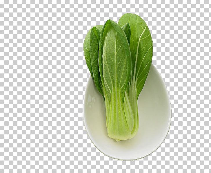 Romaine Lettuce Choy Sum Napa Cabbage PNG, Clipart, Cabbage, Car Wash, Chard, Chinese, Chinese Cabbage Free PNG Download