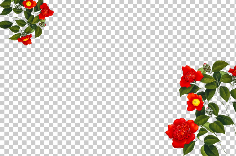 Garden Roses PNG, Clipart, Annual Plant, Cut Flowers, Family, Floral Design, Flower Free PNG Download