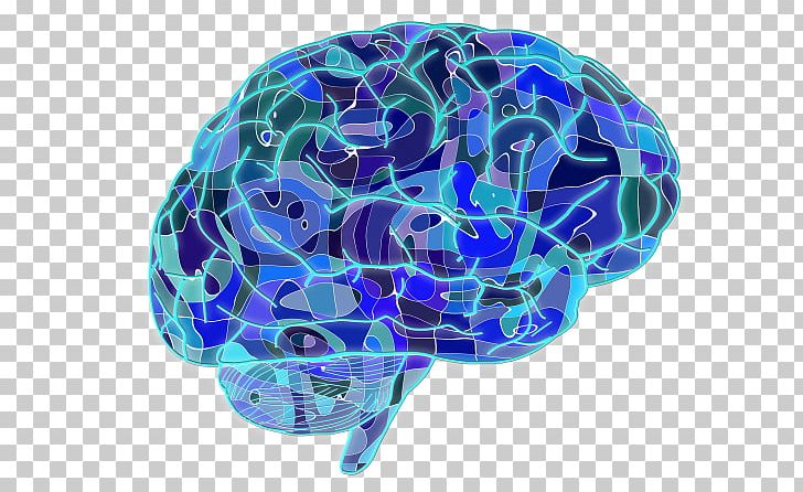 Brain CC0-lisenssi Neuroscience Cognitive Training Research PNG, Clipart, Aging Brain, Biology, Blue, Brain, Cobalt Blue Free PNG Download