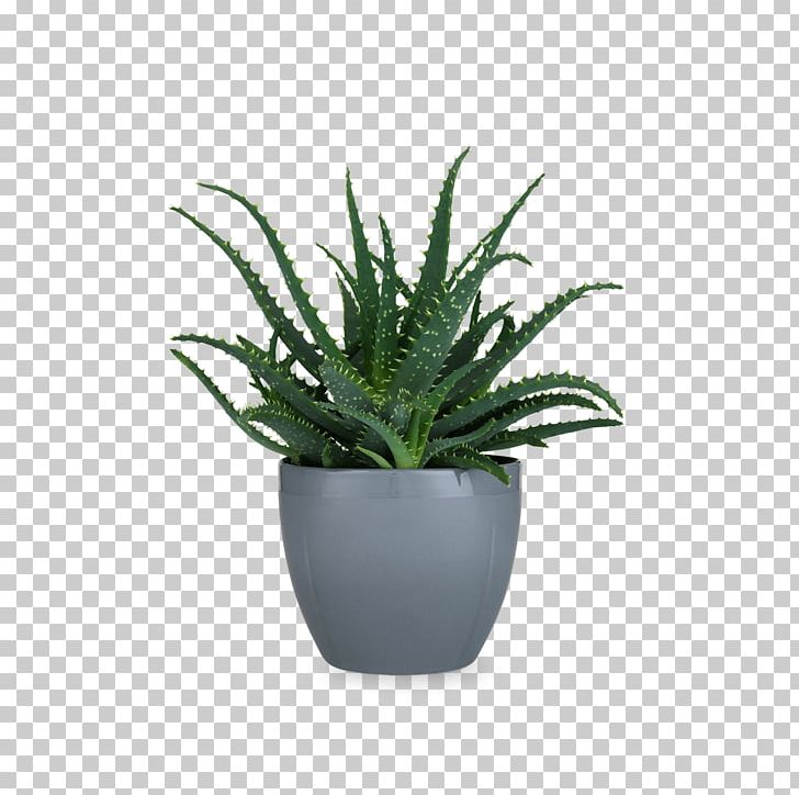 Flowerpot Rosendahl Danish Design Vase Copenhagen PNG, Clipart, Agave, Aloe, Bowl, Ceramic, Copenhagen Free PNG Download