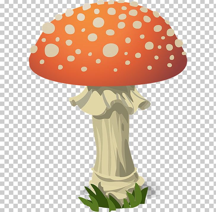 Fungus Amanita Muscaria Mushroom PNG, Clipart, Agaric, Amanita, Amanita Muscaria, Clip Art, Common Mushroom Free PNG Download