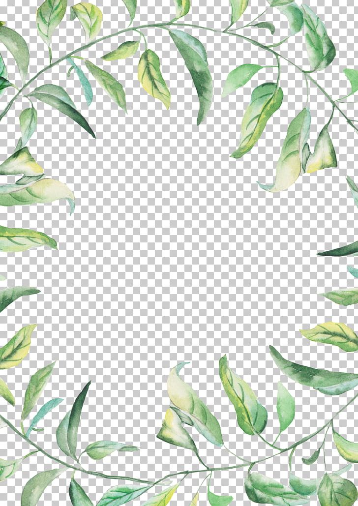 Watercolor Painting Drawing PNG, Clipart, Border, Border Frame, Branch, Certificate Border, Clip Art Free PNG Download