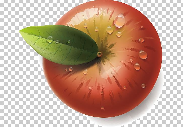 Apple Illustration PNG, Clipart, Adobe Illustrator, Apple, Apple Fruit, Apple Logo, Apples Free PNG Download