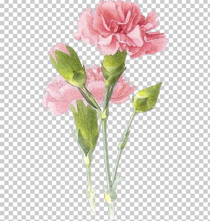 Carnation Watercolor Painting Drawing Art PNG, Clipart, Artificial Flower, Flower, Flower Arranging, Flowers, Herbaceous Plant Free PNG Download