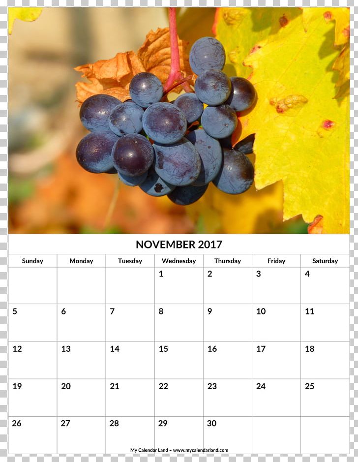 Common Grape Vine Red Wine Vega Sicilia PNG, Clipart, Calendar, Common Grape Vine, Flowering Plant, Food, Fruit Free PNG Download