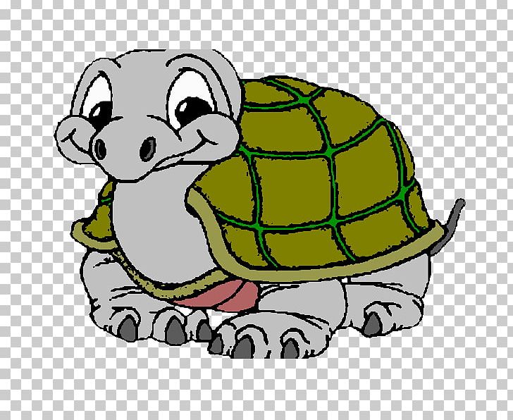 Tortoise Sea Turtle Coloring Book Drawing PNG, Clipart, Animal, Animals, Anime, Artwork, Cartoon Free PNG Download