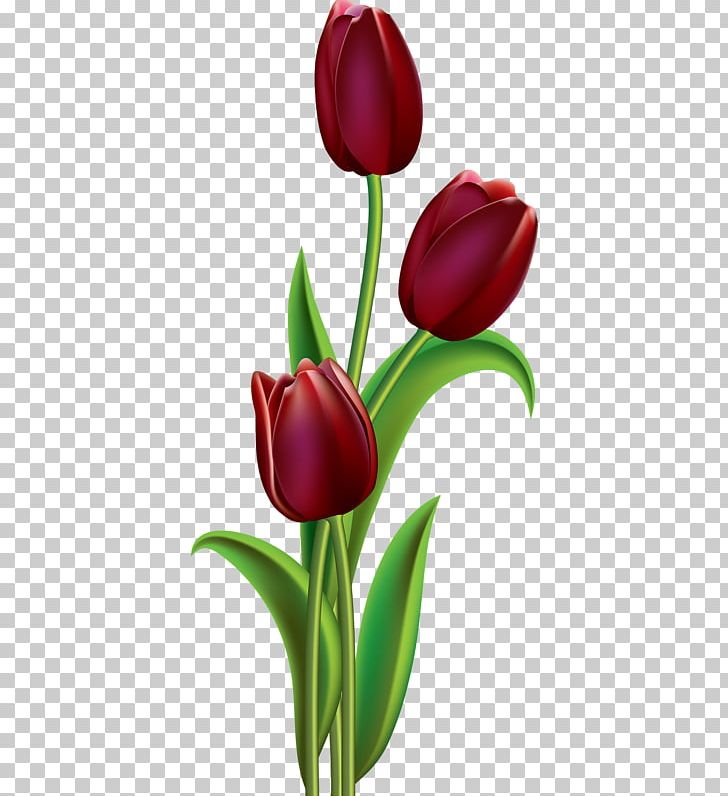Tulip Flower Painting Floral Design PNG, Clipart, Art, Bud, Clip Art, Color, Cut Flowers Free PNG Download