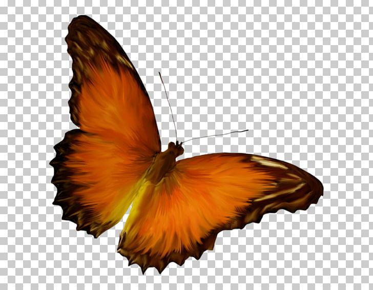 Brush-footed Butterflies Butterfly PNG, Clipart, Arthropod, Brush Footed Butterfly, Butterfly, Icon Design, Insect Free PNG Download