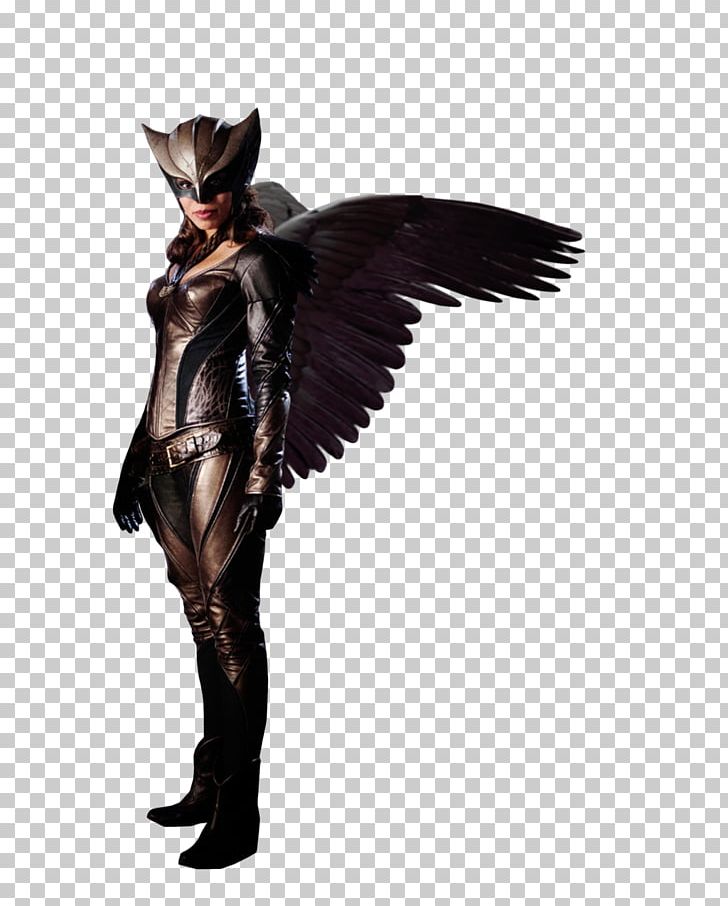 Hawkgirl Hawkman (Katar Hol) PNG, Clipart, Arrow, Art, Costume Design, Feather, Female Free PNG Download