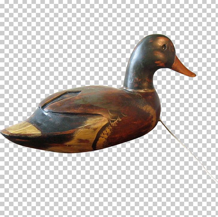 Mallard Duck Beak PNG, Clipart, Animals, Antique, Beak, Bird, Decoy Free PNG Download