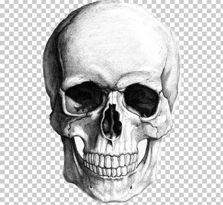 Sketch Drawing Skull Art Calavera PNG, Clipart, Anatomy, Art, Black And White, Bone, Calavera Free PNG Download