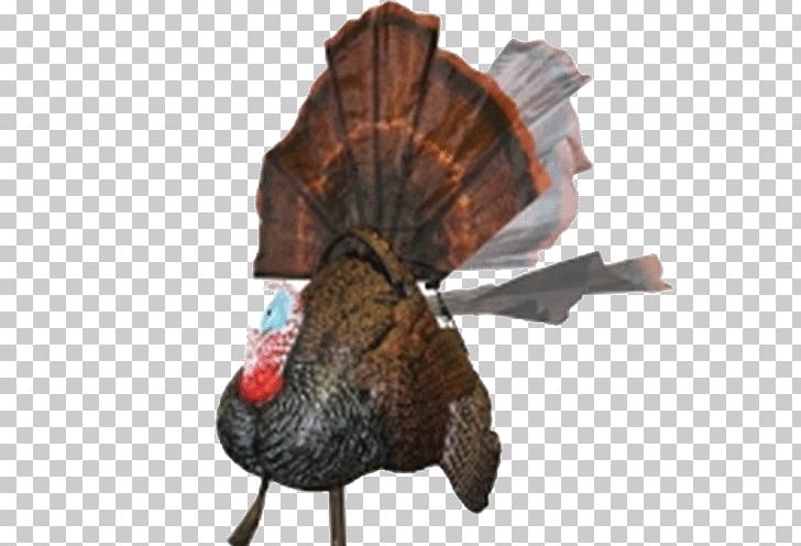 Turkey Hunting Decoy Mallard PNG, Clipart, Animals, Cleaning The Seats, Decoy, Deer Hunting, Domesticated Turkey Free PNG Download