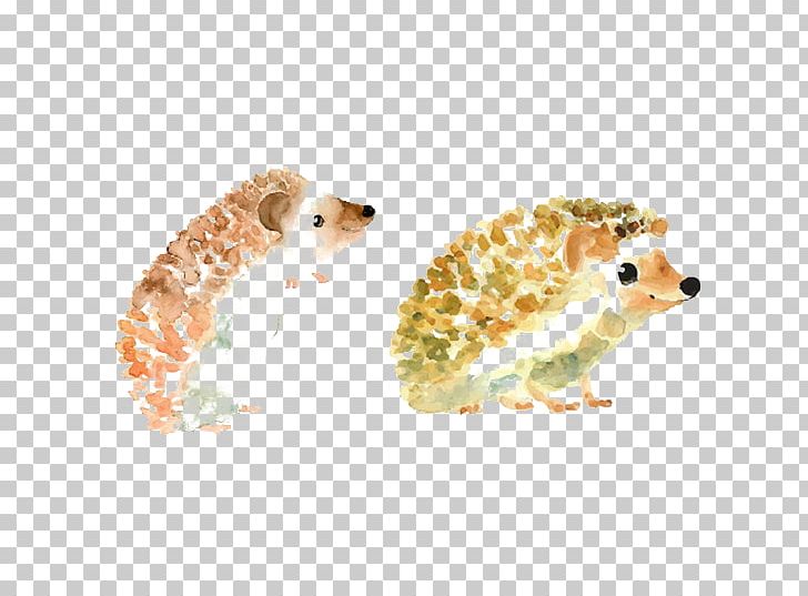 Baby Hedgehogs Drawing Watercolor Painting Illustration PNG, Clipart, Animal, Animals, Art, Artist Trading Cards, Carnivoran Free PNG Download