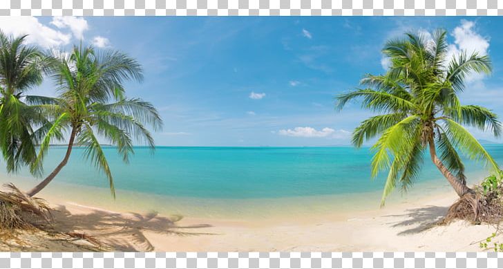 Stock Photography Beach Hut Tropical Islands Resort Mural PNG, Clipart, Accommodation, Arecales, Bay, Beach, Can Stock Photo Free PNG Download