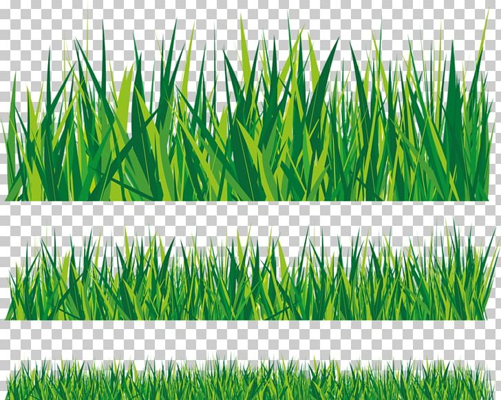 Photography Natural Cartoon Grass PNG, Clipart, Artificial Grass, Background,  Cartoon Grass, Chrysopogon Zizanioides, Commodity Free PNG