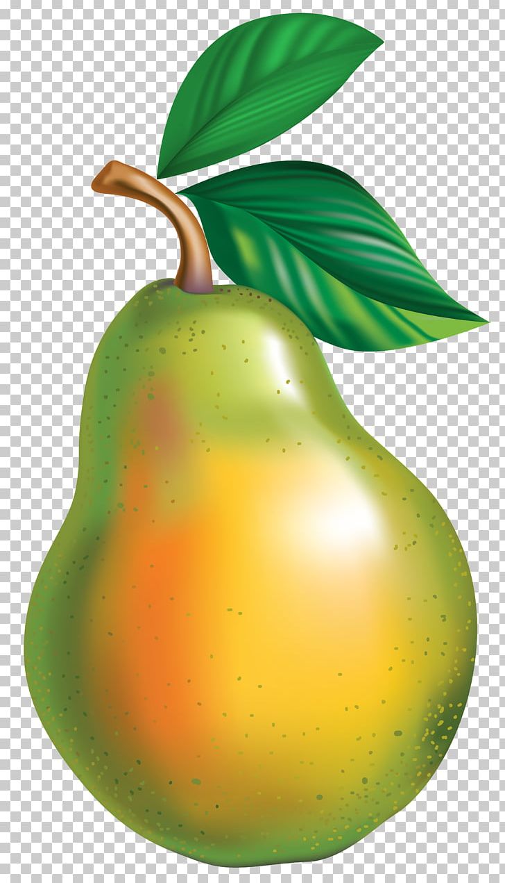 Pyrus × Bretschneideri Asian Pear PNG, Clipart, Apple, Asian Pear, Cartoon, Clipart, Clip Art Free PNG Download
