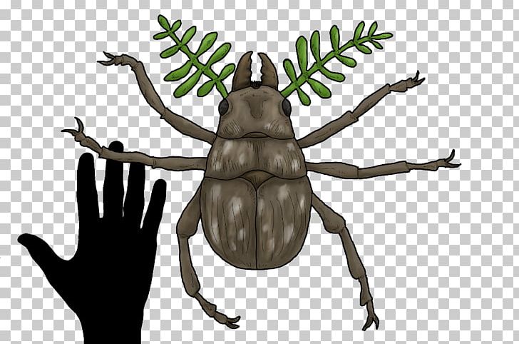 Beetle Future Evolution Speculative Evolution The Field Guide To Lake Monsters PNG, Clipart, Amphibian, Animals, Art, Arthropod, Beetle Free PNG Download