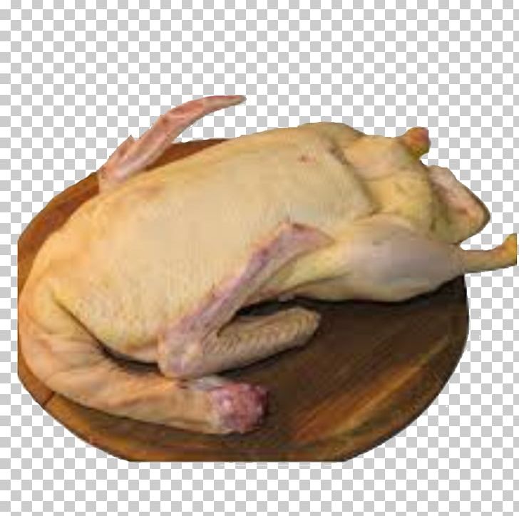 Domestic Duck Turkey Meat Bird Chicken PNG, Clipart, Animal Fat, Animals, Animal Source Foods, Bird, Calorie Free PNG Download
