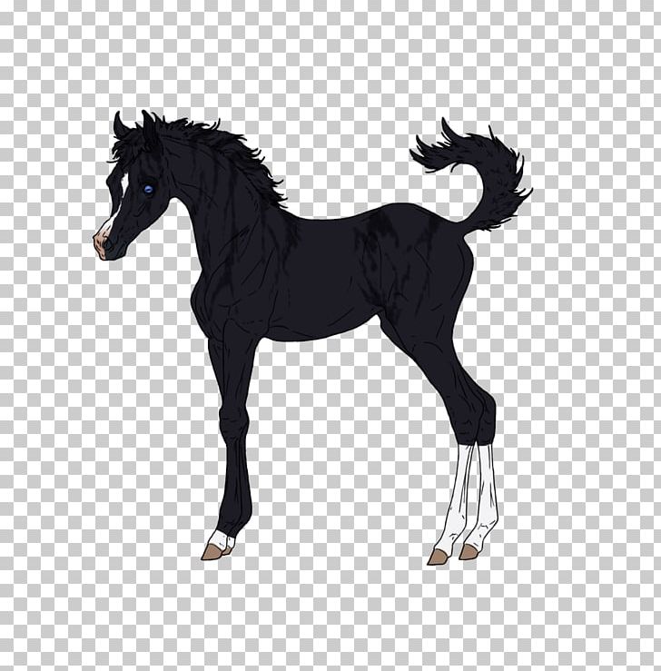 Stallion Foal Mustang Colt Mare PNG, Clipart, Animal Figure, Bridle, Colt, Foal, Halter Free PNG Download