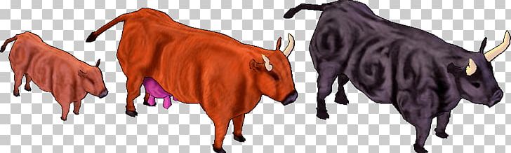 Cattle Ox Livestock Purebred Mustang PNG, Clipart, Animal, Animal Breeding, Animal Figure, Calf, Cattle Free PNG Download