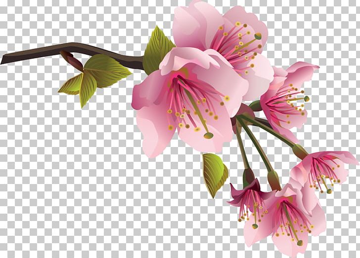 Flower Spring Branch PNG, Clipart, Alstroemeriaceae, Blossom, Branch, Cherry Blossom, Clip Art Free PNG Download