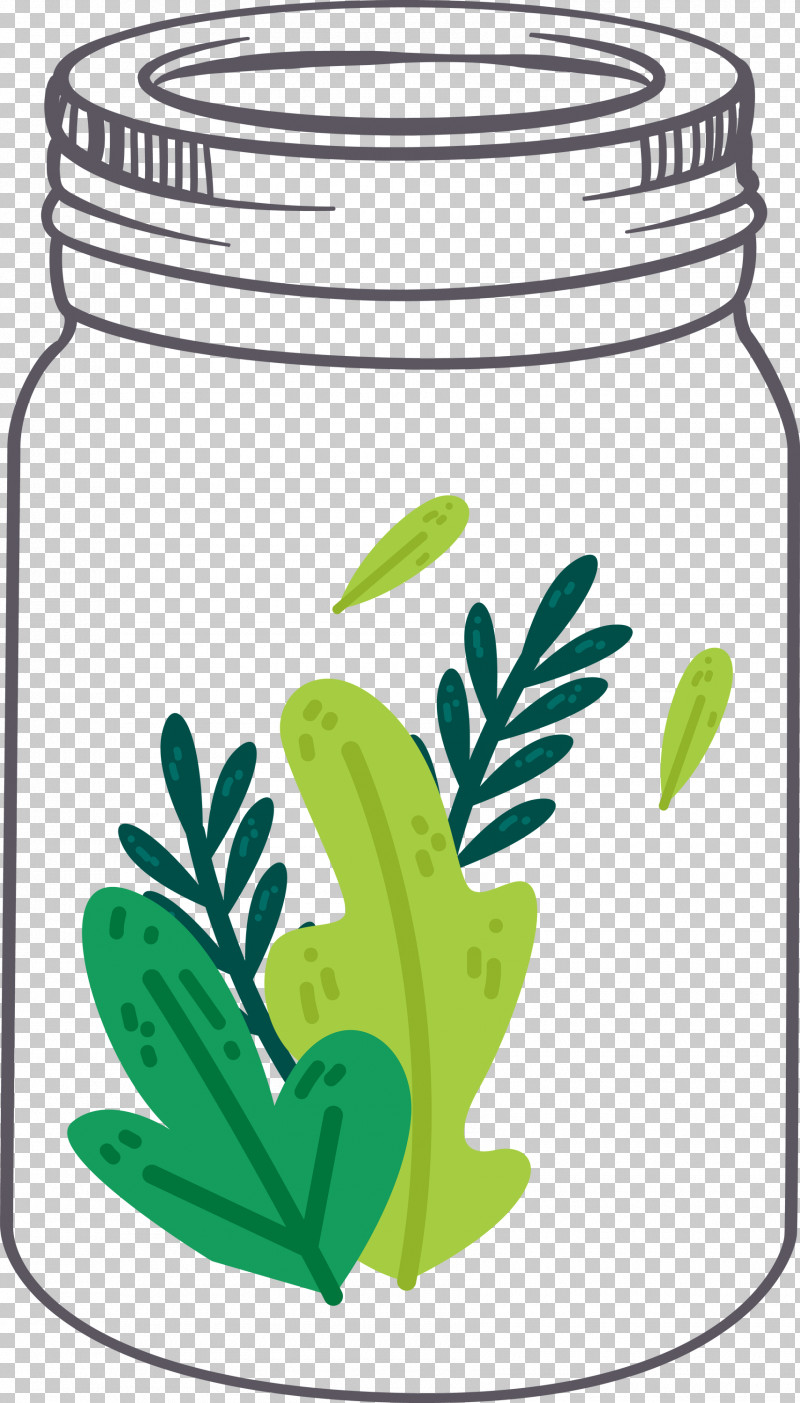 MASON JAR PNG, Clipart, Biology, Flower, Grasses, Green, Leaf Free PNG Download