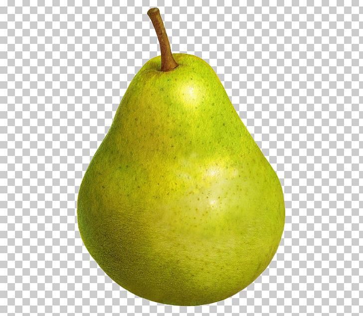 Asian Pear Fruit Painting Illustration PNG, Clipart, Apple, Apple Pears, Asian Pear, Colored Pencil, Drawing Free PNG Download