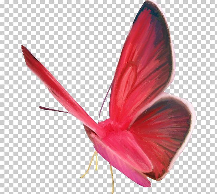 Butterfly Animal Moth PNG, Clipart, Animal, Arthropod, Brush Footed Butterfly, Butterflies And Moths, Butterfly Free PNG Download