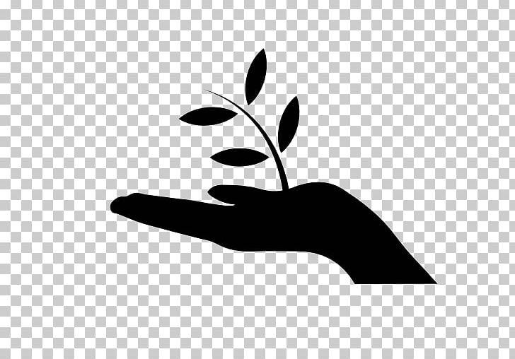 Computer Icons PNG, Clipart, Black, Black And White, Branch, Business, Computer Icons Free PNG Download