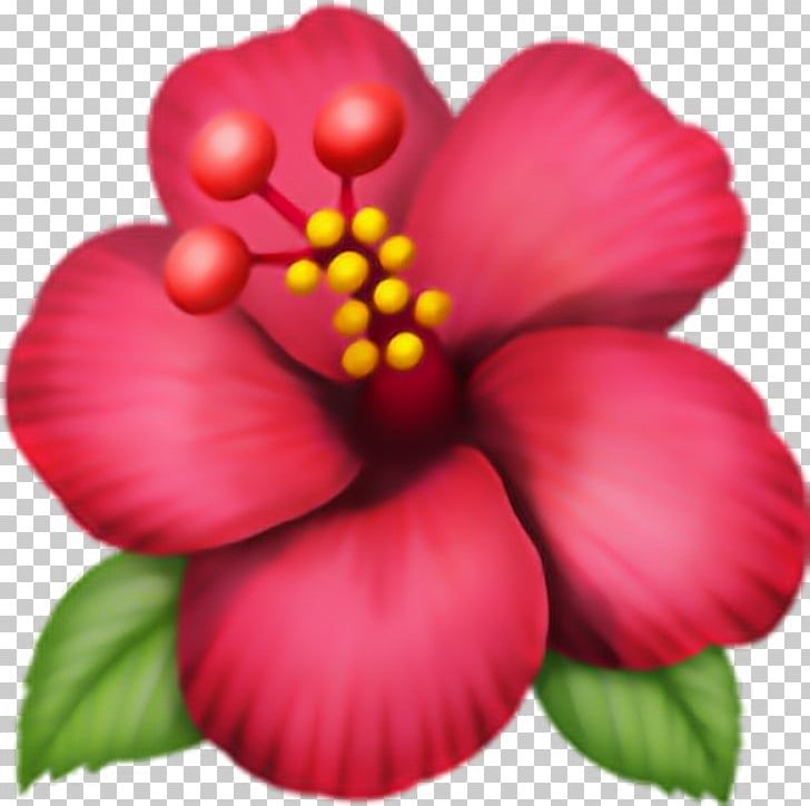 Emoji Domain Hibiscus .ws PNG, Clipart, Annual Plant, Com, Domain, Domain Name, Emoji Free PNG Download