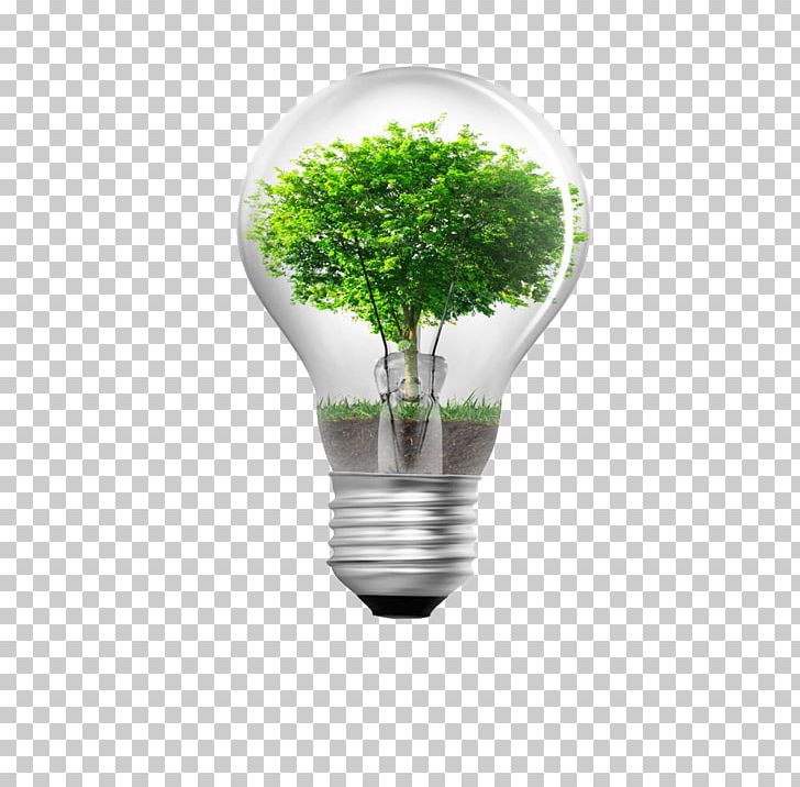 Energy Conservation Window Film Business Efficient Energy Use Sustainability PNG, Clipart, Architectural Lighting Design, Architecture, Building, Bulb, Bulb Design Free PNG Download