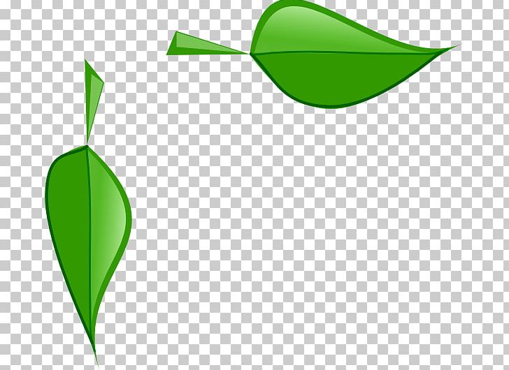 Leaf Plant Stem PNG, Clipart, Cartoon, Com, Drawing, Grass, Green Free PNG Download